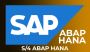 SAP ABAP On Hana / S/4 ABAP HanaOnline Training Course 