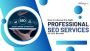 How to Choose the Right Professional SEO Services for Your B