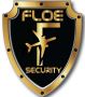 Floe Security LLC