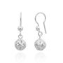 Buy Beautiful Silver Drop Earrings from Zehrai