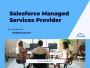 salesforce Managed Services - 1cloud