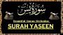 The Profound Significance of Reading Surah Yaseen