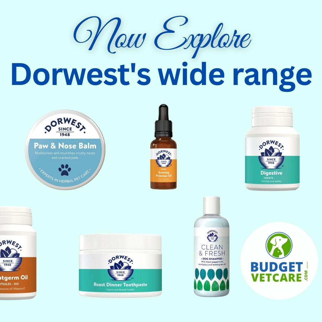 Explore Dorwest's Products at Budgetvetcare - Savings Guaranteed!