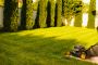 Trusted Lawn Care Experts in Weatherford, TX