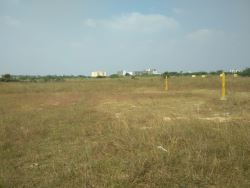 DTCP APPROVED PLOTS FOR SALE AT PADAPPAI 