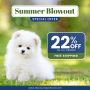 Summer's hottest deal: 22% Off on all Pet Supplies