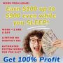 Work from home and earn $100, $300, $600 up to $900 