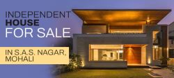 Property in Mohali