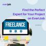 Find the Perfect Expert for Your Project on EveriJob