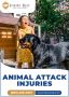 Animal Attack Injuries - Injury Rely