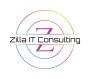 Zilla IT Consulting