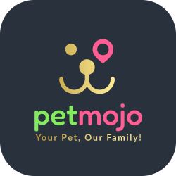 Premier Dog Grooming Services at Home