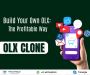 Build Your Own OLX: The Profitable Way