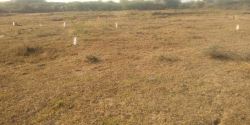 DTCP APPROVED PLOTS FOR SALE AT SRIPERUMBUDHUR