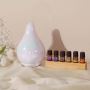 Best Aromatherapy Diffusers for Soothing And Calm Experience