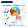 Expert Statistics Homework Doer: Get Reliable Help with Your