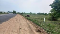 DTCP APPROVED PLOTS FOR SALE AT PALAYASEEVARM 