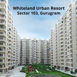 Whiteland Urban Resort Price Reviews & Floor Plan 