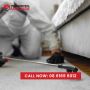 Find Pest Control in Adelaide Near You