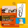 Premium Leather Slip Leads for Dogs - Durable & Stylish