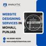 Expert Website Designing Services in Mohali, Punjab 