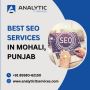 Best SEO services in Mohali, Punjab | Analytic IT Services