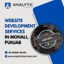 Expert Website Development Services in Mohali, Punjab