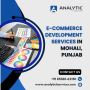 Top E-commerce Development Services in Mohali, Punjab