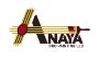 Anaya Pro Painting