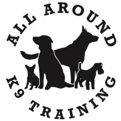 Dog Training in San Antonio TX