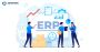 ERP Development: Guide to ERP Systems, Solutions, and Implem