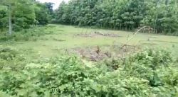 Top 3 Beautiful Land Ready For Sale In Alipurduar For Resort