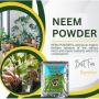 Neem Powder Sale: Free Shipping & Summer Discounts Available