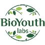 Best Turkey Tail Supplements | BioYouth Labs