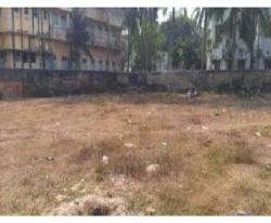 Top 5+ Business Land About To Sale In Digha