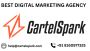 Navi Mumbai SEO Company: Elevating Digital Presence with Car