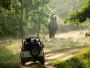 Unforgettable Jungle Safari Adventures in Rajasthan