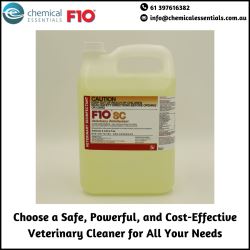 Choose a Safe, Powerful, and Cost-Effective Veterinary Clean