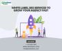 White Label SEO Services: Elevate Your Agency