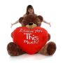 I Love You Bear – Giant Teddy Collection