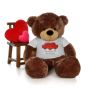 Heartwarming Valentines Teddy Bear Gifts from Giant Teddy