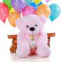 Happy Birthday Bear by Giant Teddy : A Hug in a Gift