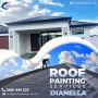 Delivering the best Roof painting services in Dianella