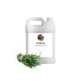  BioProGreen Custom thyme essential oi Manufacturers in Bulk