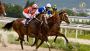 Best Online Horse Racing Sites for Exciting Racing Action