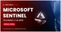 Microsoft Sentinel Online Training: Your Gateway to Advanced