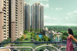 New Launch Residential Project in Greater Noida- CRC Joyous