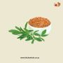 Get The Best Quality Fenugreek Seed From Wholesale Spice Sup