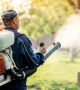 Home Protection Plus in Ottawa: Comprehensive Pest Control 