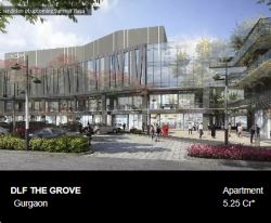 DLF The Grove | Exclusive Low-Rise Floors in DLF 54 Gurgaon